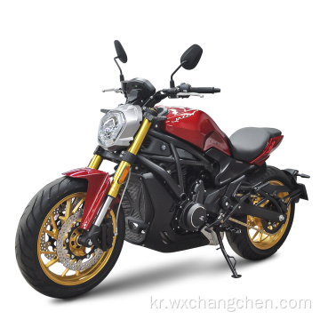 고속 가솔린 650cc 고속 가스 연료 오토바이